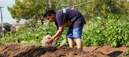 Ironbound Community Corporation
